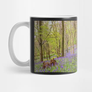 Bluebells, Margam Forest, Wales Mug